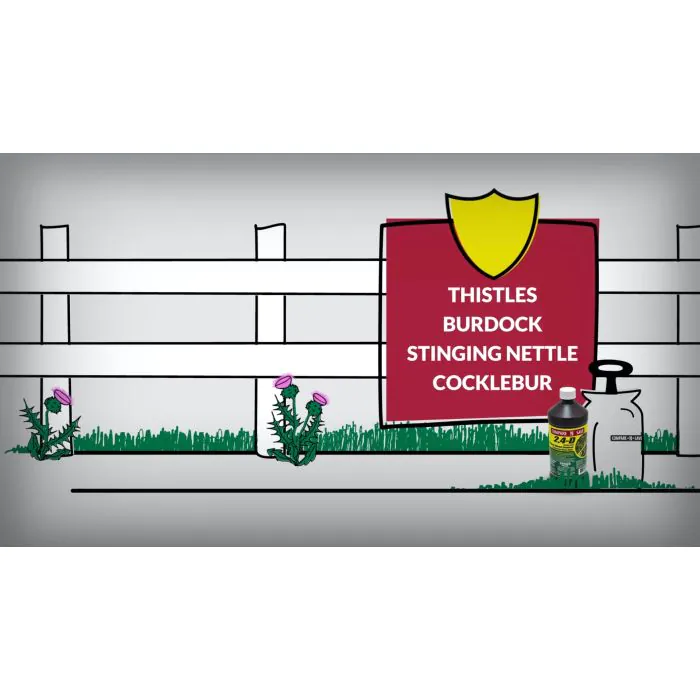 Compare-N-Save 2,4-D Amine Broadleaf Weed Killer | Ragan & Massey