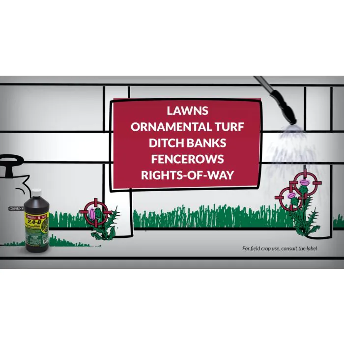 Compare-N-Save 2,4-D Amine Broadleaf Weed Killer | Ragan & Massey