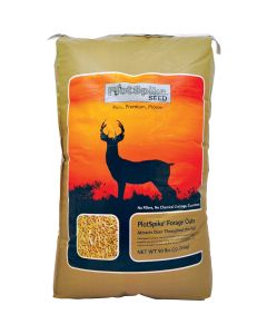 Forage Oats Food Plot Seed