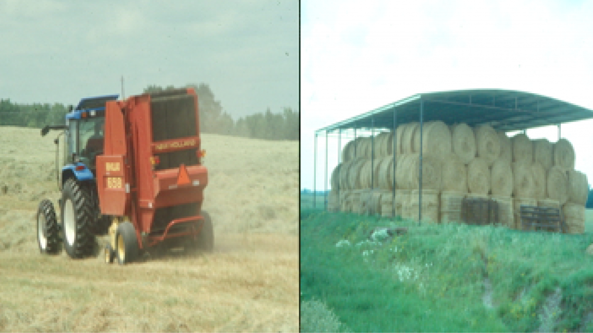 Minimizing Hay Losses is Important