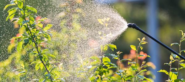 Give Summer’s Biggest Pests the Brush Off