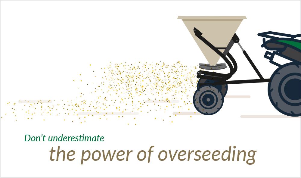 Improve pasture production by overseeding winter ryegrass