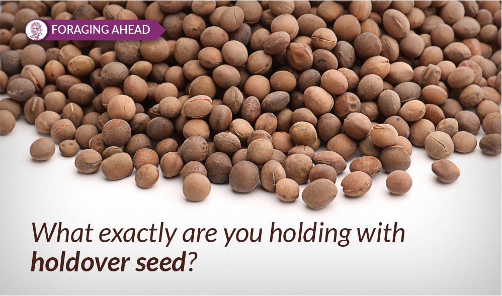Foraging Ahead with Dr. Don Ball: Holdover seed