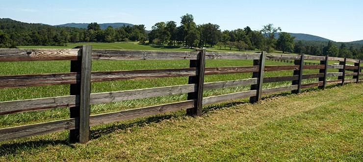 How To Get a Weed-Free Fence Line