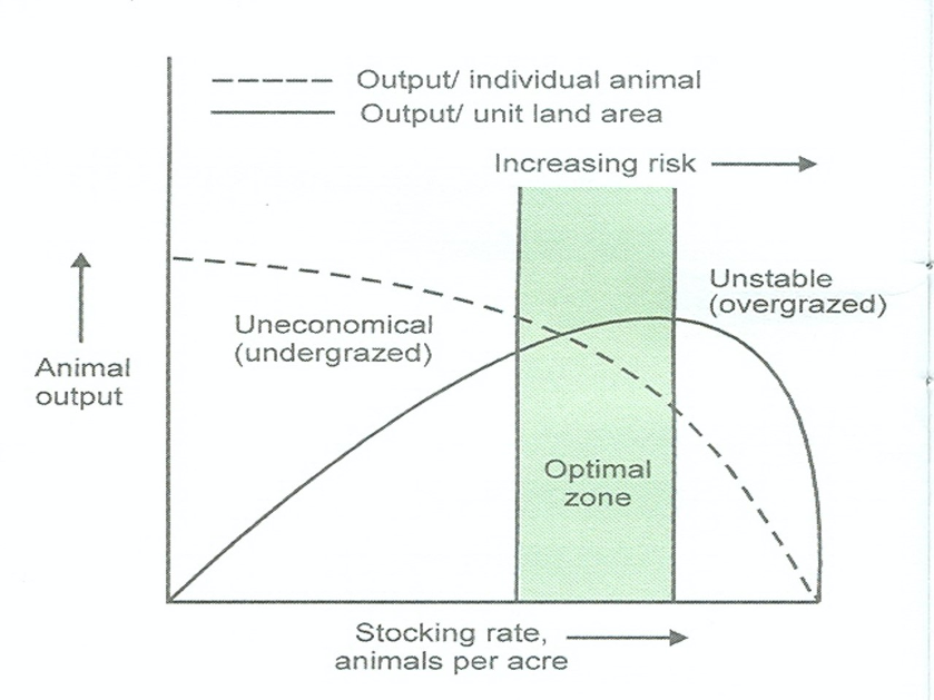 BASIC GRAZING CONCEPTS