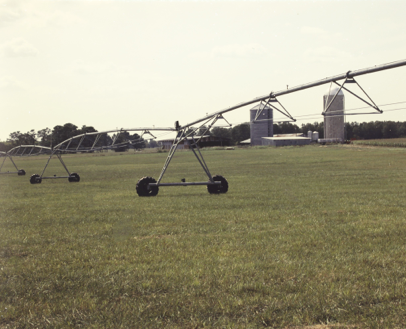 IRRIGATION OF FORAGE CROPS