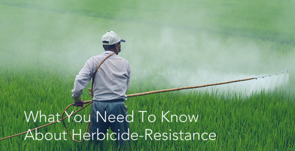 What You Need To Know About Herbicide-Resistance