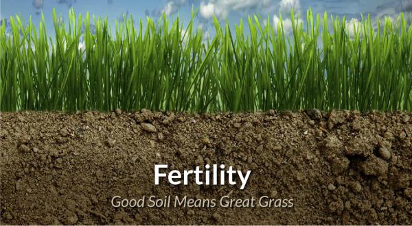 Determining soil fertility is the first step to a productive pasture