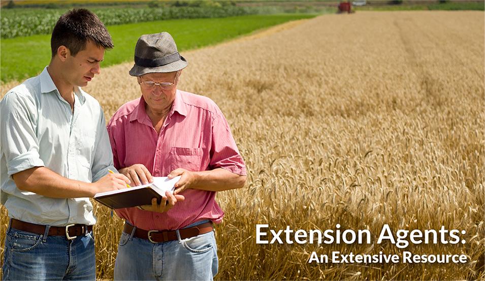 Extend your knowledge with your local extension agent