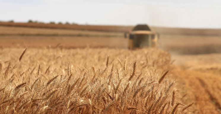 7 Tips For Preparing For A Healthy Harvest