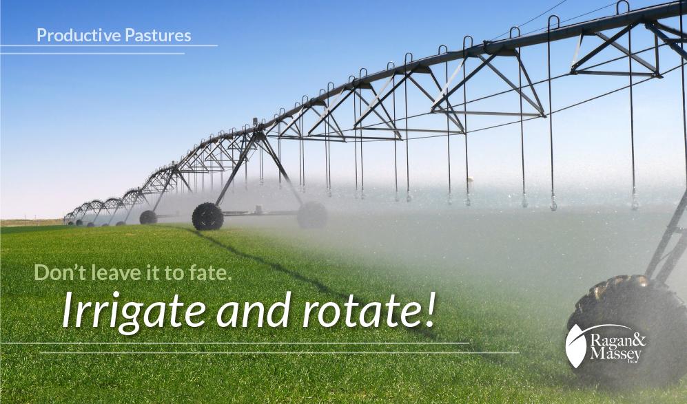 Irrigation and rotation are keys to favorable forage
