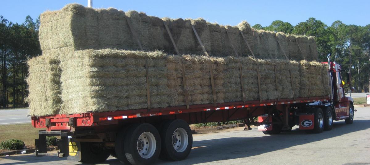 FORAGING AHEAD WITH DR. DON BALL: HAY TRANSACTIONS