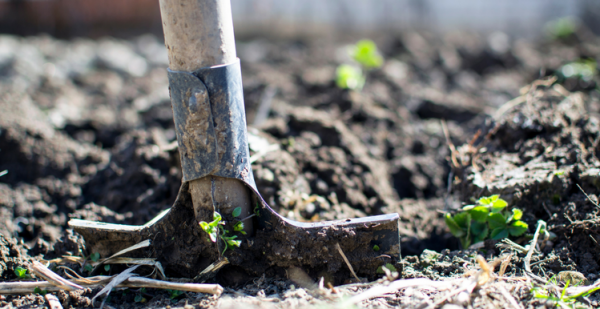 5 Basic Gardening Tools Everyone Should Have