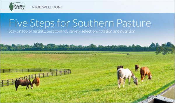 "A Job Well Done," by Ragan & Massey: Five Steps for Southern Pasture