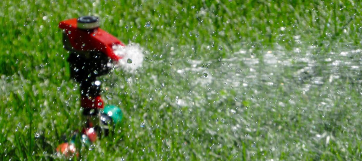 When To Water: What Works Best For Lawn And Garden Products?