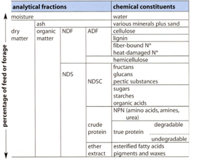 Feed And Forage Composition