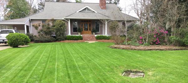 Five Steps to a Perfect Lawn with Mayberry Seed