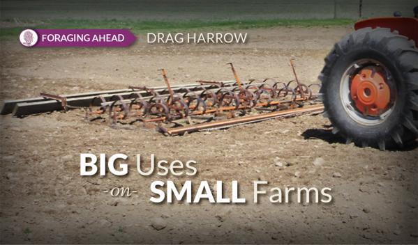 Foraging Ahead with Dr. Don Ball: Drag harrows aren’t a drag for the livestock farmer