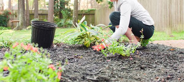 Five Steps to Easy Garden Prep
