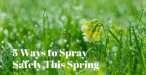 5 Ways To Spray Safely This Spring